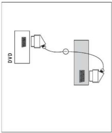 SEG Orlando - Anschluss über SCART-Kabel - 1