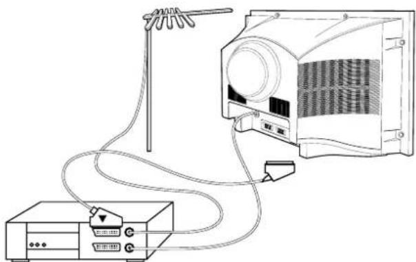 DAEWOO DTH-29U7 - Rückseite - 1