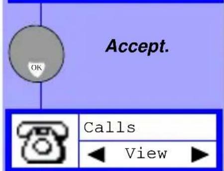 Accept. OK Calls View