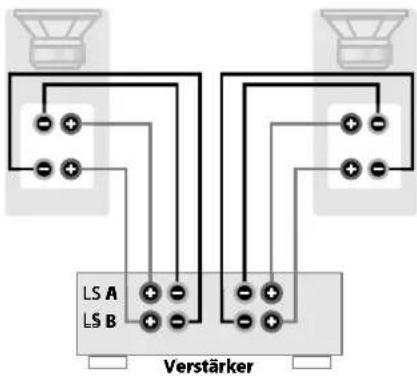 Nubert NuBox 513 - mBi-Wiring - 1