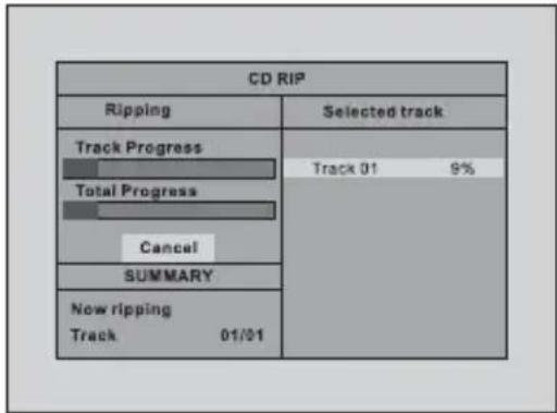 Nextbase SDV48-AM - CD-Ripping - 2