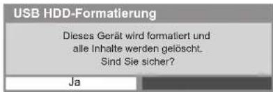 PANASONIC Viera TX-P50STW50 - Vorsichtsmaßnahmen und Hinweise für die Verwendung von USB-Festplatten - 3