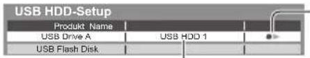 PANASONIC Viera TX-P50STW50 - USB HDD-Formatierung - 2