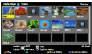 PANASONIC Viera TX-P50GT60 - Information - 1