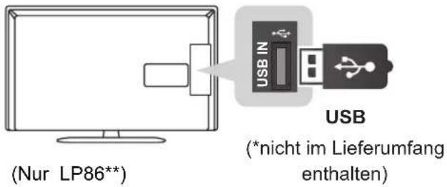 LG 32LP361H - Anschließen eines USB-Geräts - 1