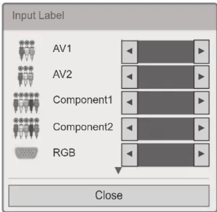LG 32LK335C - Adding an Input label - 1