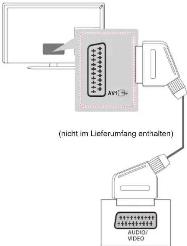 LG 24MT55 - Euro-Scart-Anschluss - 1