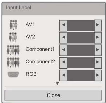 LG 22LV250U - Adding an Input label - 1