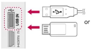 LG 22LV250U - Connecting USB storage devices - 1