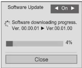 LG 19LV250U - When setting "Software Update" - 2