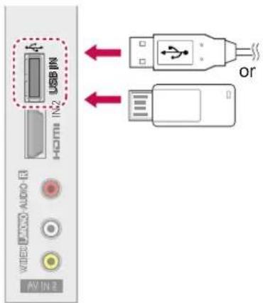 LG 19LV2300 - Connecting to a USB - 1