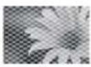 LG 40LV3550 - 3D-Modus für Wiedergabe in 3D anzeigen - 4