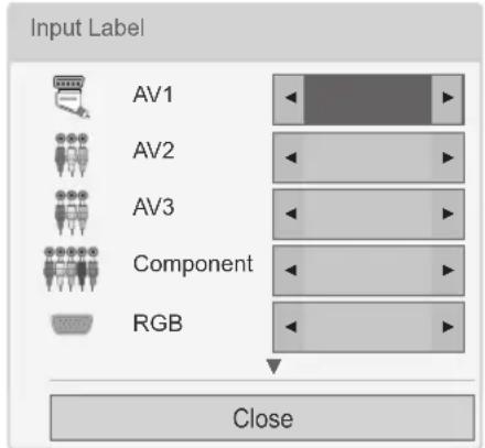 LG 42PW450N - Adding an Input label - 1