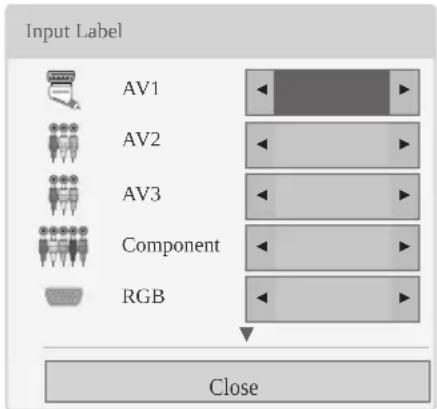LG 50PZ550A - Adding an Input label - 1