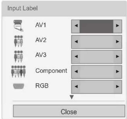 LG 50PV250A - Adding an Input label - 1