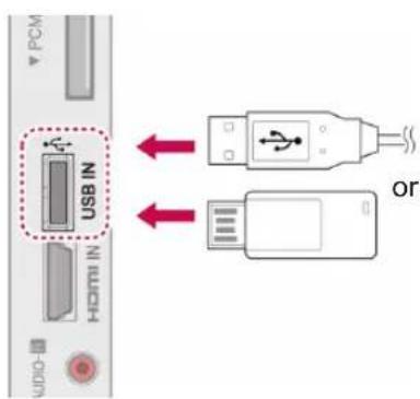 LG 50PV250A - Connecting to a USB - 1