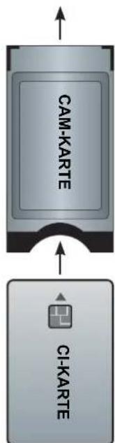 HISENSE LTDN55XT770WXSEU3D - Modulinformationen anzeigen - 3