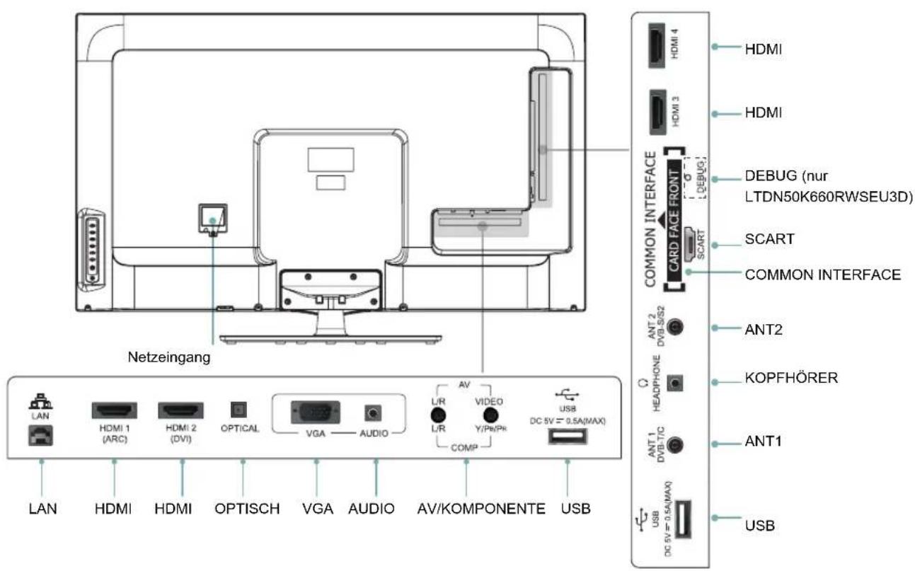 HISENSE LTDN50K660RWSEU3D - Anschlüsse - 1