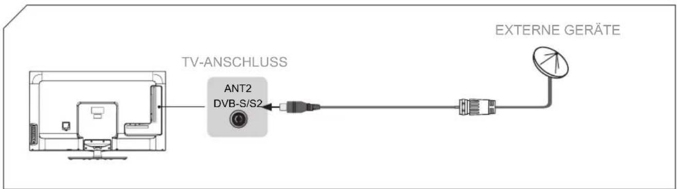 HISENSE LTDN50K660RWSEU3D - Satellitenantenne anschließen - 1