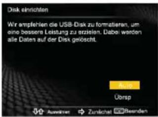 HISENSE LTDN50K300XSEU3D - Time-Shift Funktion (Zeitversetzung) - 1