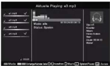 HISENSE LTDN50K300XSEU3D - Musikhören - 2