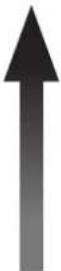 HISENSE LTDN50K160WSGEU - Verbindungen von Video und Audio - 1