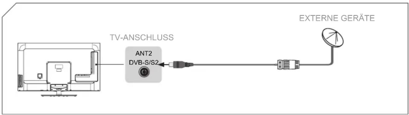 HISENSE LTDN39K610XWSEU3D - Satellitenantenne anschließen - 1