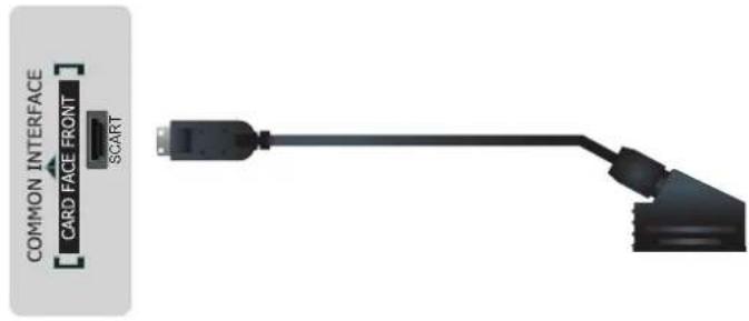 HISENSE LTDN39K160WSEU - Verbindung einer A/V Geräts mit einem Scart Kabel - 1