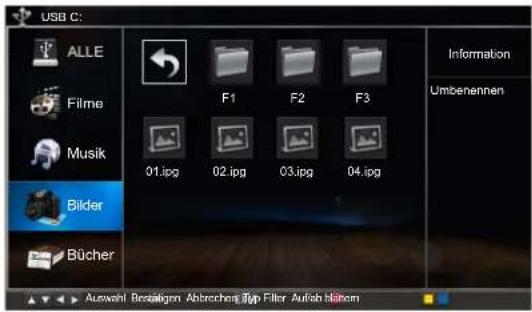 HISENSE LTDN39K160WSEU - Bilder Anschauen - 1