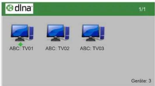 HISENSE LHD32K160WSEU - • Der Einstieg in die DLNA - 1