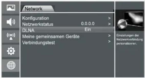 HISENSE LHD32K166WSEU - DLNA aktivieren - 1