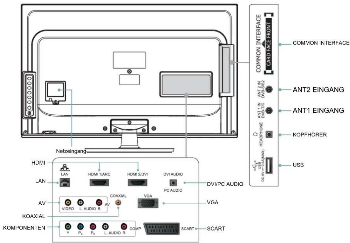 HISENSE LHD29K300WSEU - Anschlüsse - 1