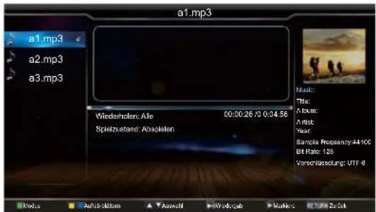 HISENSE LHD29K300WSEU - Musik hören - 2