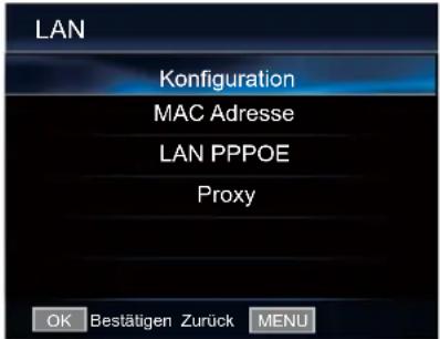 HISENSE LHD29K300WSEU - Verbindung mit verkabeltem Netzwerk - 3