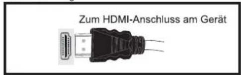 DUAL LE32F160P3 - HDMI Eingang - 1