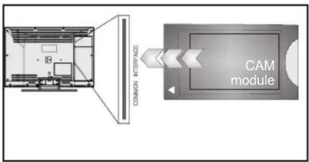 DUAL DLED 32RW185 - Verwendung eines Conditional Access-Moduls - 2
