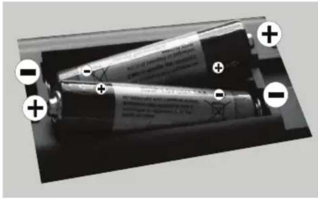 DUAL DLE32H182A2 - Legen Sie die Batterien in die Fernbedienung ein - 1