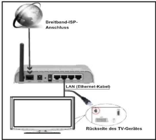 DUAL DLE 39F182 - Anschluss an ein kabelgebundenes Netzwerk - 1