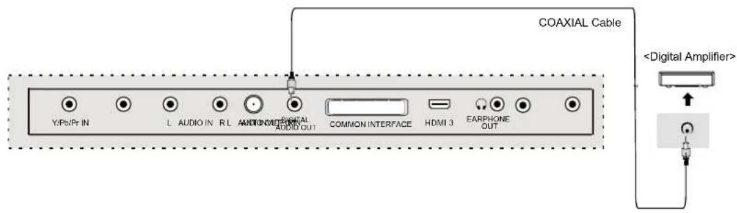 DUAL 3270-LED - Digital Amplifier Connections - 1