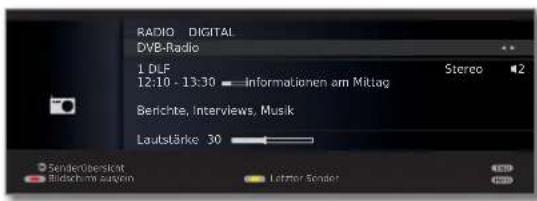 LOEWE ART 46 LED 200 - Radio-Betriebeinschalten - 5