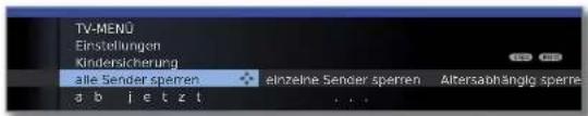 LOEWE ART 46 LED 200 - Geheimnummerfestlegen - 6