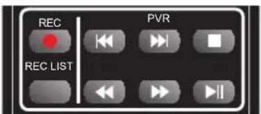 BLAUPUNKT 40-173I-GB-FHBKUP-DE - Live-Sendung (TV / Radio) anhalten (Zeitversatz) - 1
