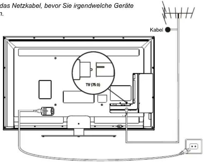 TCL L39F3393 - Netz- und Antennenanschluss - 1