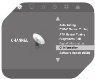 OK OLE 24150-B - Edición de Programas - 1