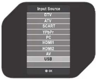 Input Source DTV ATV SCART YPbPr PC HDMI1 HDMI2 AV USB OK