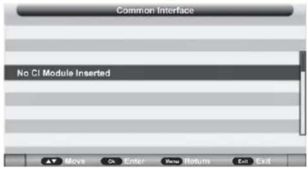 Jay-Tech 2032TT-DVB-T2 - CI Info (CI-Informationen) - 1