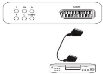 Terris LEDTV 2423 - SCART-Anschluss - 1