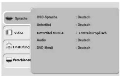 Terris LEDTV 2423 - DVD SETUP-MENÜ - 1