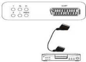 Terris LED TV 2224 - SCART-Anschluss - 1