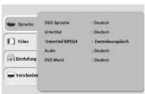Terris LED TV 2222 - DVD SETUP-MENÜ - 1